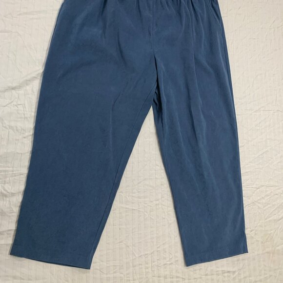 ๐ฆ MAGGIE BARNES WOMENS PANTS SIZE 24WP PETITE ๐ฆ - Picture 2 of 6